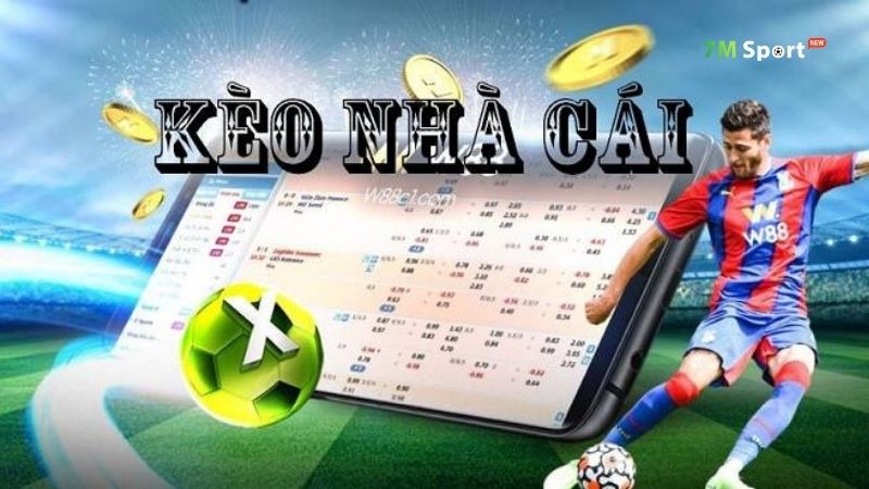 Bạn đã biết tỷ lệ kèo nhà cái là gì hay chưa?